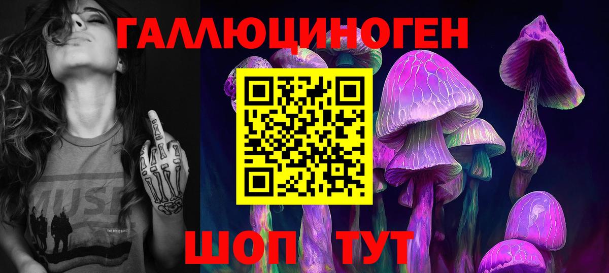 Галлюциногенные грибы Psilocybe  Вход с VPN  Апрелевка 